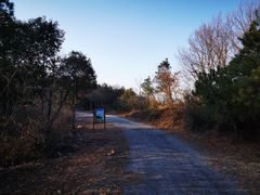 -南京市无想山景区