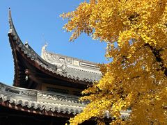 -龙华素斋(龙华路店)