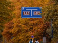 -南京市无想山景区