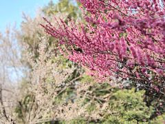 -宝岩生态观光园