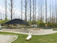 -前小桔亲子创意农场·草莓采摘·露营烧烤