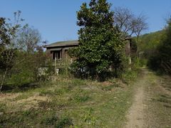 -南京老山国家森林公园
