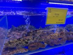 水产区-新海渔港·胶东海鲜家常菜·家宴(奥体中心店)