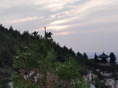 -佛慧山