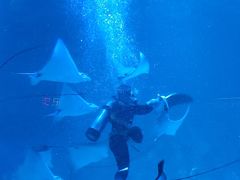 -烟台海昌鲸鲨海洋公园