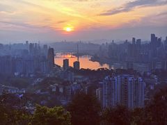 -南山植物园