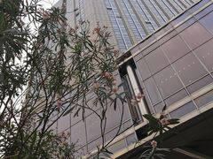 -海心沙亚运公园