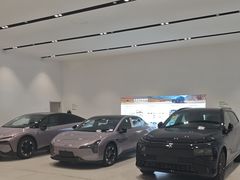 -小鹏汽车上海吴中路销售服务中心