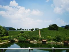 -帐篷客·溪龙茶谷度假酒店