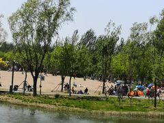 -东郊湿地公园