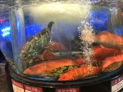 菜单-陶陶居海鲜酒家(新马路店)