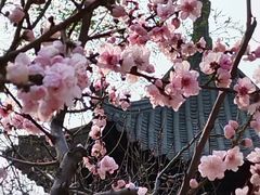 -原山国家森林公园