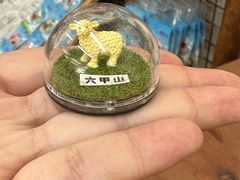 -神户市立六甲山牧场