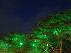android_upload_pic-大连人民广场