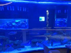 -上和臻品中国菜(花园街店)