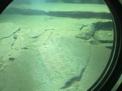 -白鹤梁水下博物馆