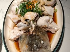 -大榕树下顺德菜(融创茂店)