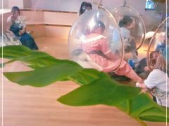 -Husky Go! 哈士奇体验馆·宠物咖啡厅狗咖