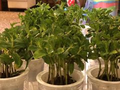 -马哥孛罗咖啡厅·Cafe Marco (厦门马哥孛罗东方大酒店)