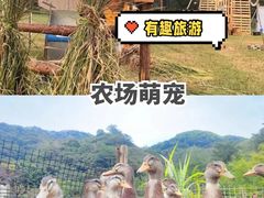 -大观园昆山峡漂流