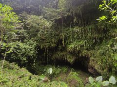 -海口火山口国家地质公园