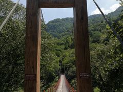 -燕子河大峡谷天坑仙境