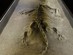 -世界恐龙谷景区