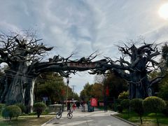 -绥化市森林植物园