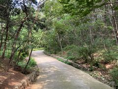 -老象峰