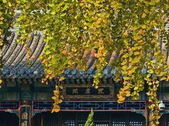 -潭柘寺景区