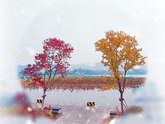 -月湖风景区