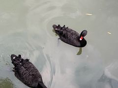 -上海虹桥迎宾馆