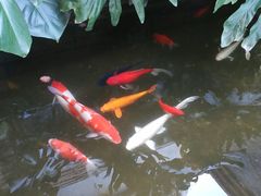 -兰纳泰式spa(古城店)