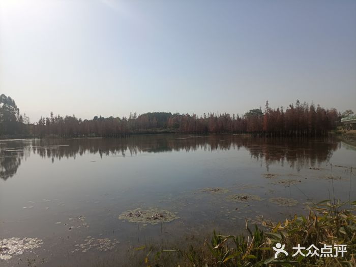 白鹭湾湿地公园图片
