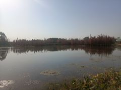-白鹭湾湿地公园