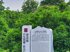 -橘子洲景区