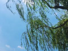-颐和园