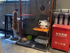 -脉冲品质汽美·贴膜(闵行店)