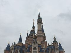 -迪士尼乐园停车场