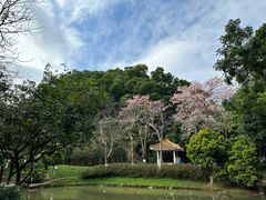 -火炉山森林公园