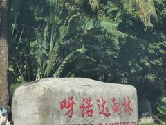 -呀诺达热带雨林