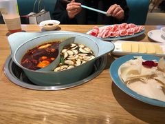 -青瓷火锅料理(西单大悦城店)
