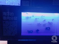 -同济大学四平路校区深海探索馆