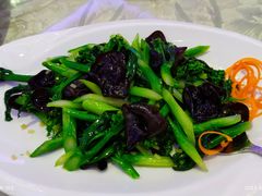 -翠恒酒家(宴会厅)