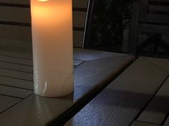 -两棵枇杷树