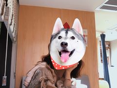 -海马体照相馆(上海月星环球港店)
