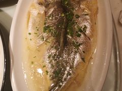 清蒸白鱼-二十八里太湖船菜(吉祥路店)