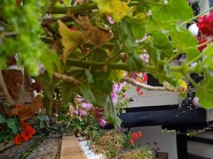 -浔岚云舍mist静谧观景美宿(丽江古城店)