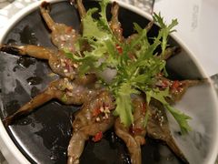 -金香匯晚茶(浑南店)