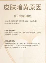 点击看大图 -玛莲朵·海菲秀冰珀科